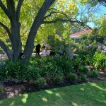 95792967_4085902414753524_4110859648796459008_o